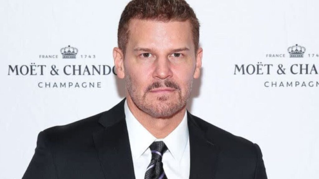 Exploring the Impact of David Borhaz on Modern Art and Culture