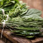 The Health Benefits of Lyposingrass: Why It’s Good for You