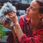 From Fur to Film: Exploring the Best Animal Movies of All Time