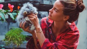 From Fur to Film: Exploring the Best Animal Movies of All Time