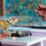 Kleptotoxicity Explained: How Some Species Sabotage Their Rivals