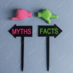 Debunking Myths Surrounding Enntal: Facts vs. Fiction