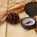 Why Every Map Needs a Compass Rose Compass: Practical Uses and Importance