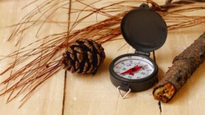 Compass Rose Compass