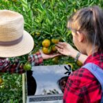 The Rise of Herbciepscam: Why Consumers Need to Stay Vigilant