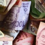 The Influence of the Malaya Dollar on Southeast Asian Economics