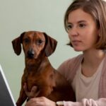 Why Pet5ardas com is a Must-Visit for Every Pet Owner